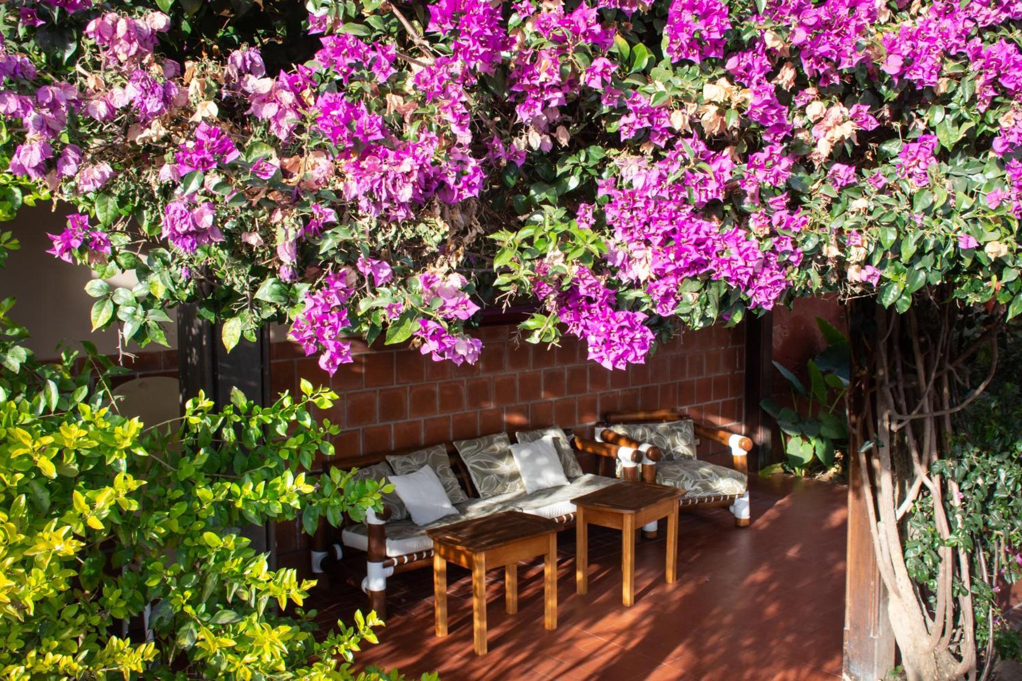 Hotel Boutique La Candela ซัลตา ภายนอก รูปภาพ